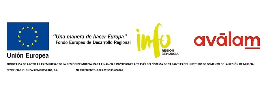 info info